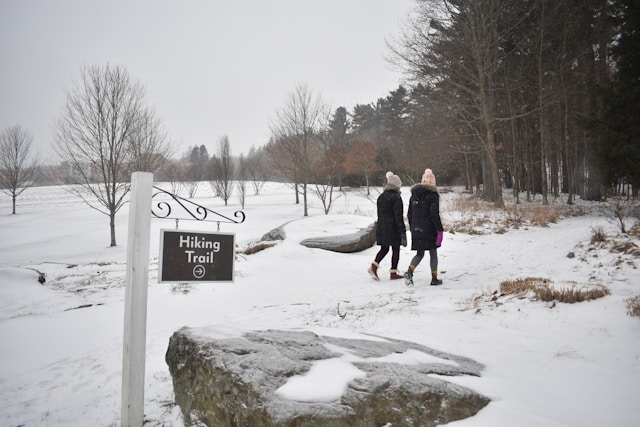 Featured image for “The Benefits of Eco-Friendly Signage in the Berkshires”