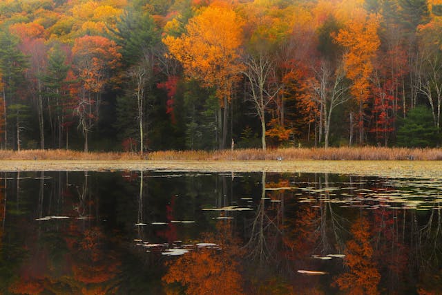 Featured image for “Navigating the Berkshires: How Wayfinding Signage Enhances Tourism and Branded Environments”